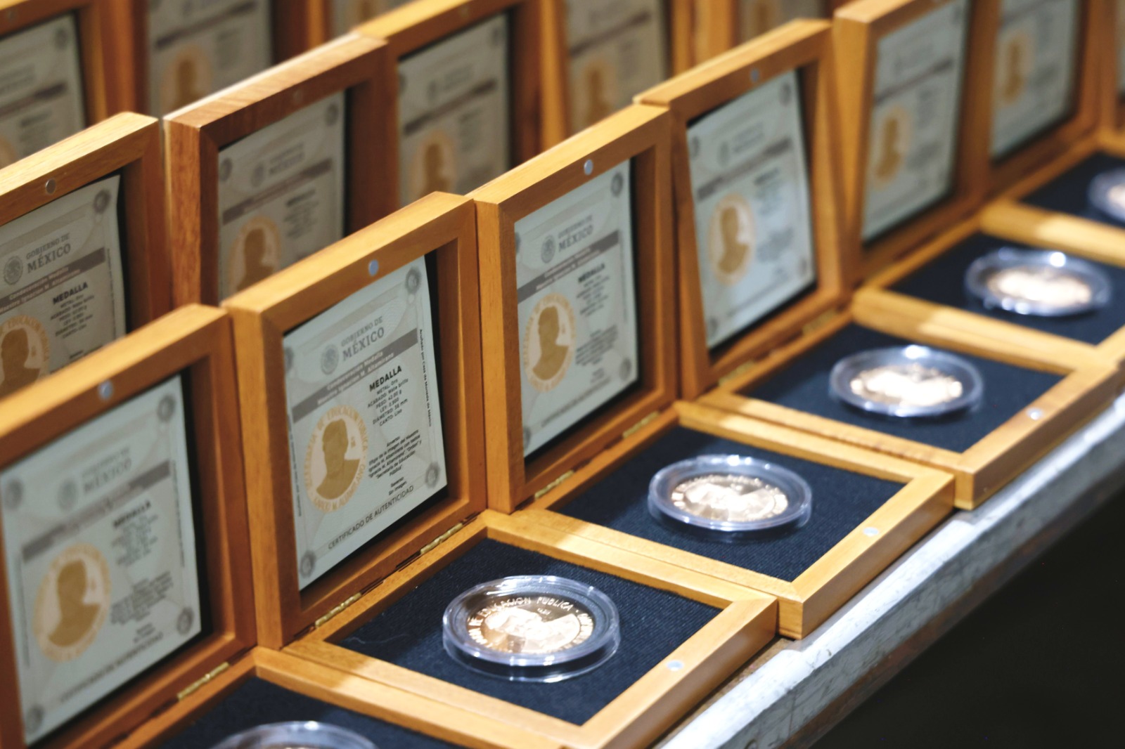 La condecoración incluye una medalla de oro, un estímulo económico y un diploma que otorga el Sindicato de Maestros al Servicio del Estado de México.