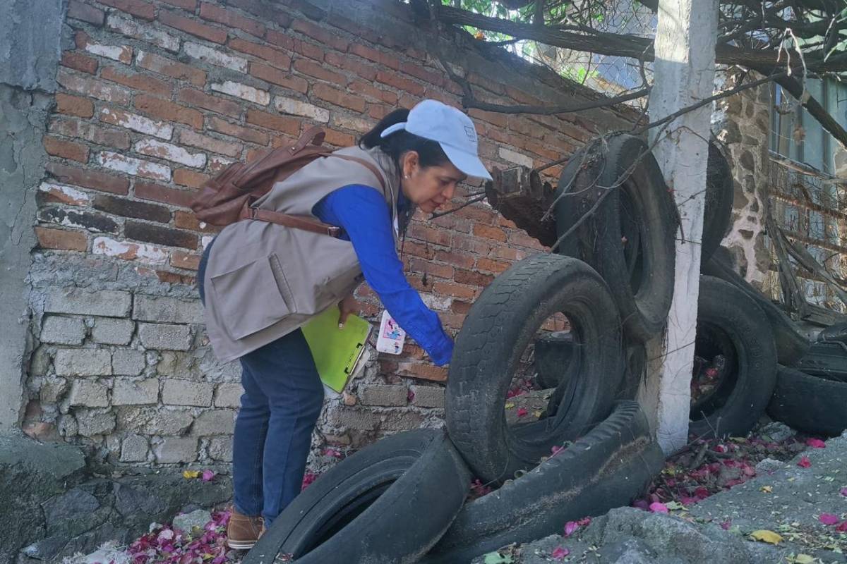 Se han hecho visitas casa a casa para fomentar viviendas con patio limpio.