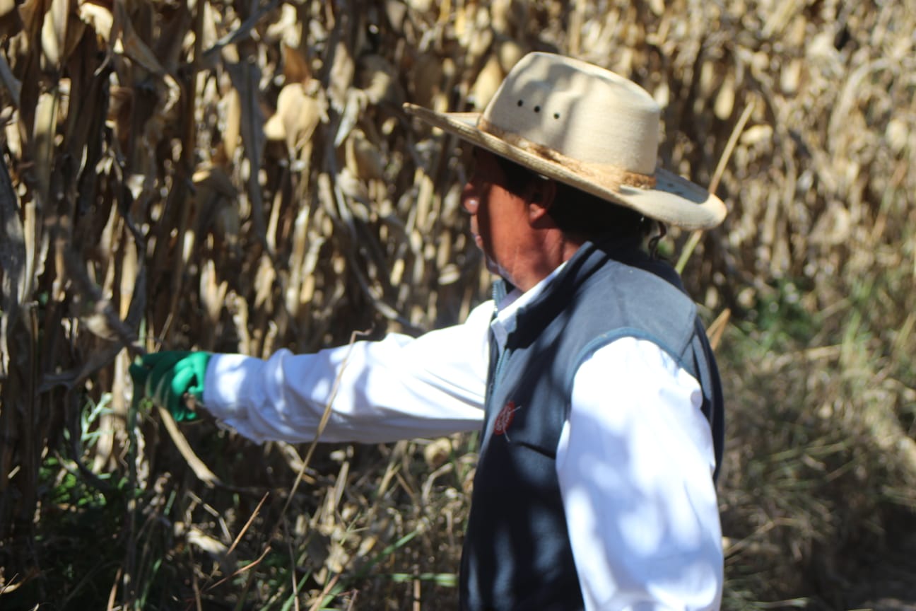 Supervisa los municipios de Tepetlixpa, Ozumba, Atlautla, Ecatzingo, Malinalco e Ixtapan de la Sal.
