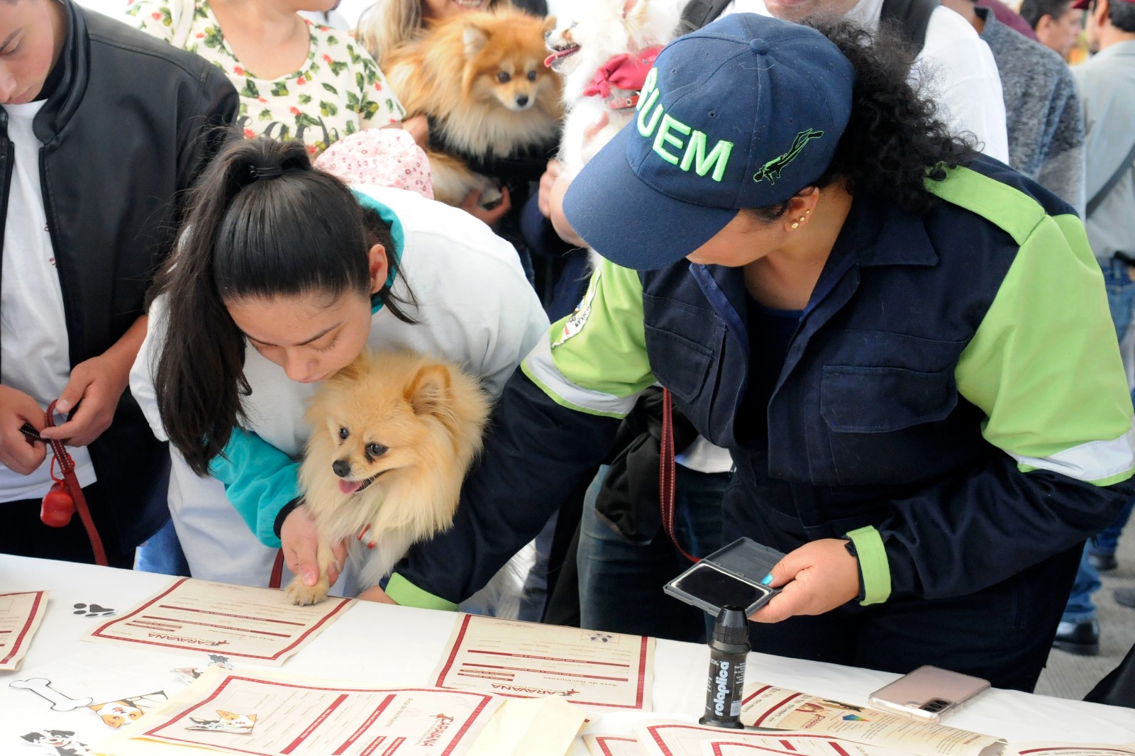 Se ofreció el servicio de registro de las mascotas.