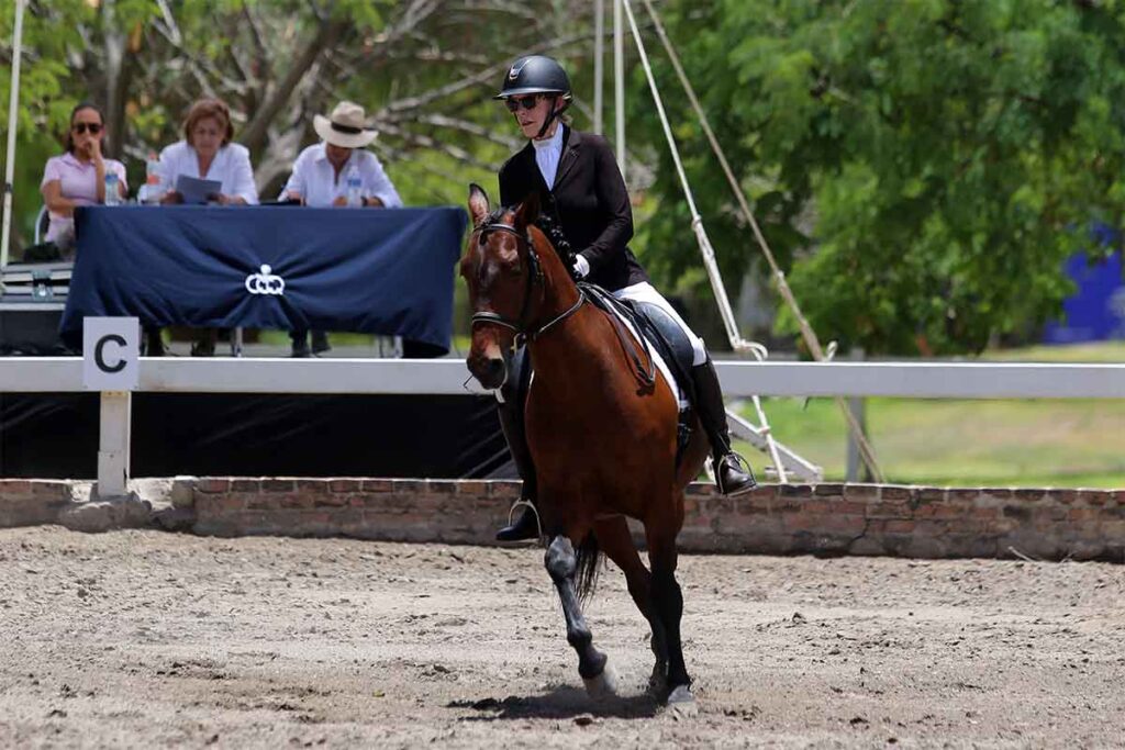 El Festival Deportivo Ecuestre reunió 20 disciplinas en caballo