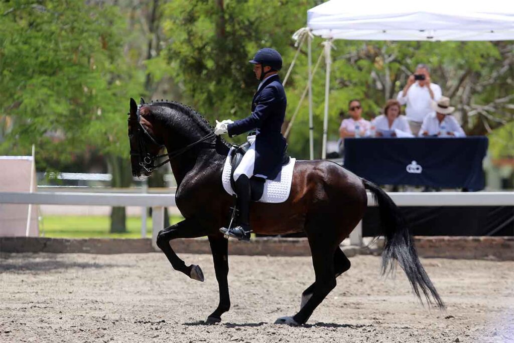 El Festival Deportivo Ecuestre reunió 20 disciplinas en caballo
