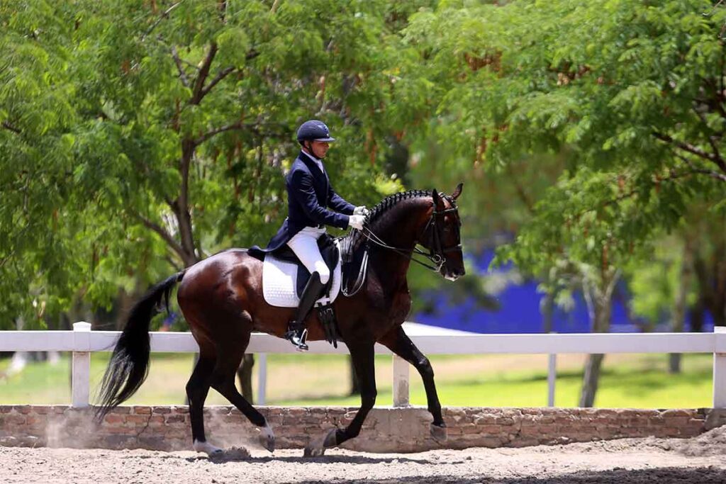 El Festival Deportivo Ecuestre reunió 20 disciplinas en caballo