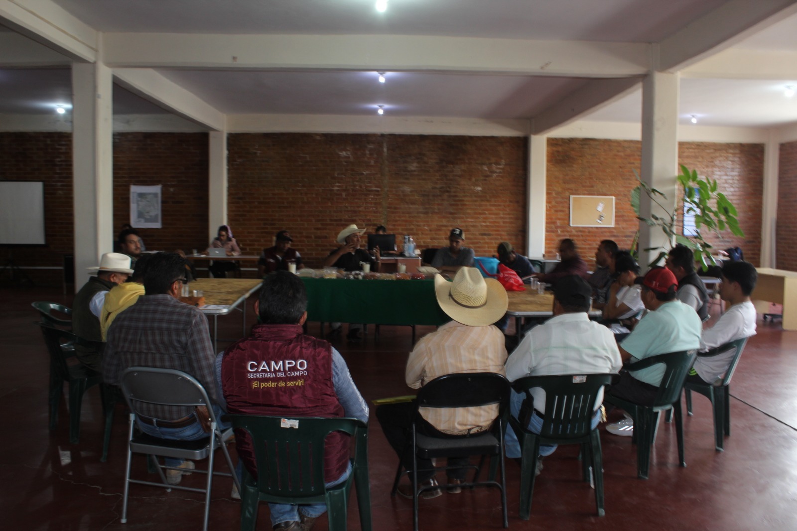 Productores de Amecameca, Juchitepec, Ayapango buscan integrar un Consejo del Sistema-Producto Amaranto.
