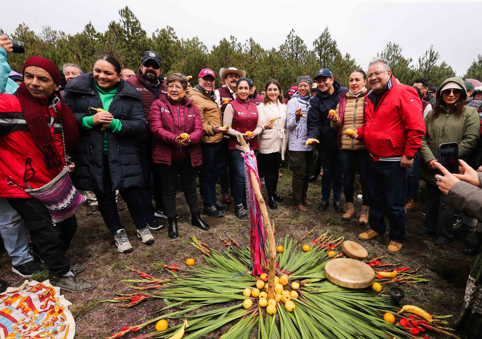 Se busca la restauración de los bosques mexiquenses para recuperar la vegetación a través de la reforestación