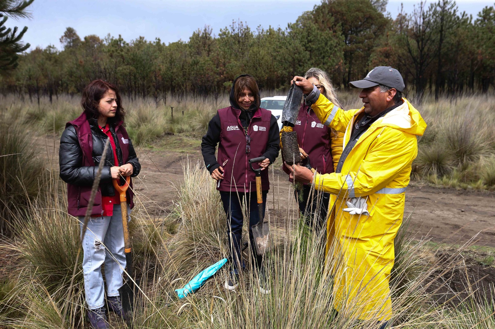 Se plantaron mil 500 árboles en una superficie de 7 mil metros cuadrados en el área de Protección de Flora y Fauna Nevado de Toluca.
