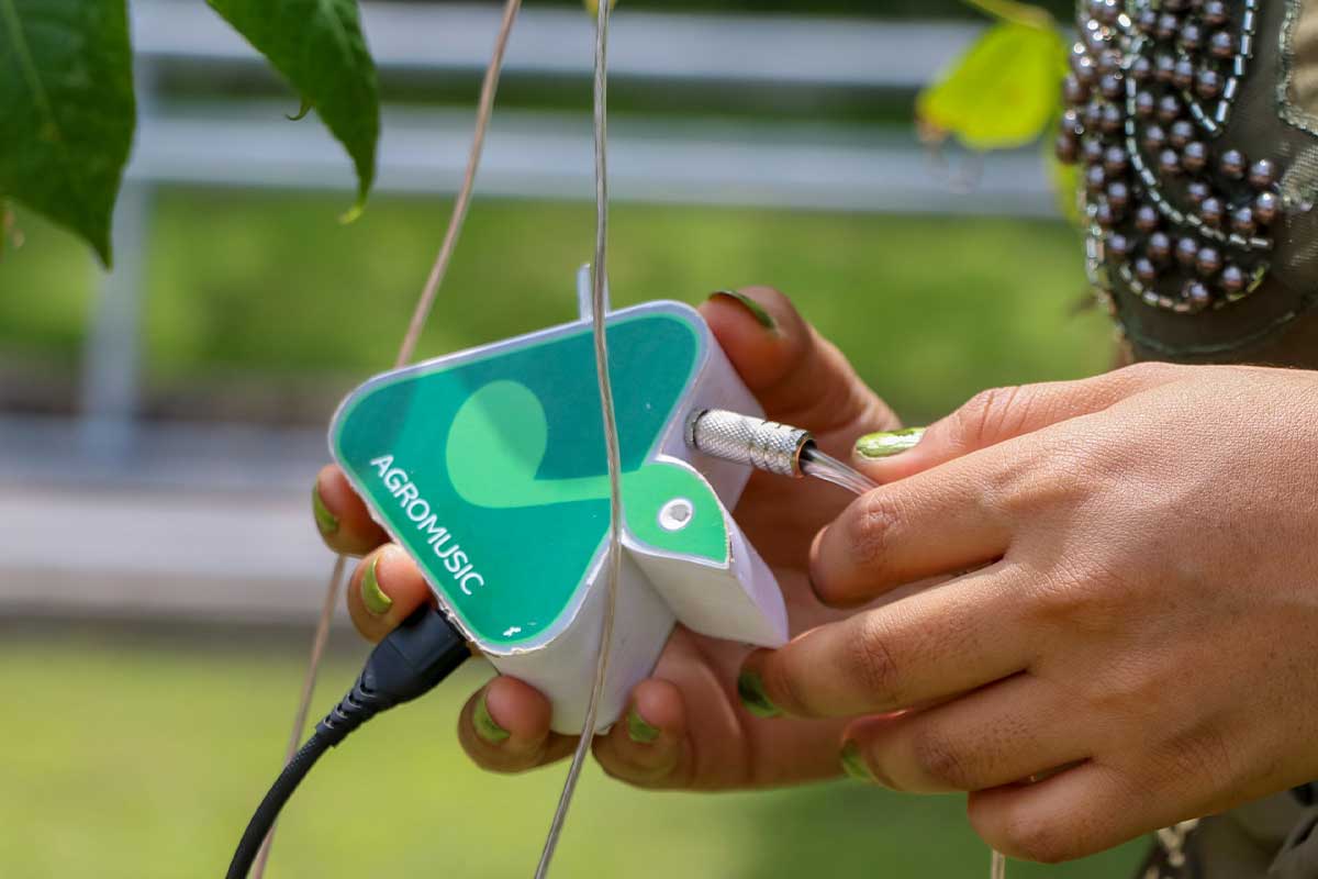Madis-agromusic-permite-escuchar-a-las-plantas