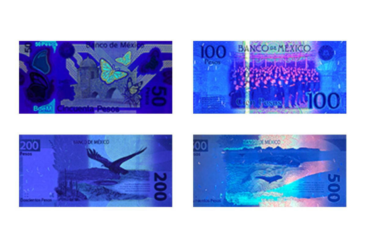 Pasos para identificar los billetes falsos que están circulando en Querétaro