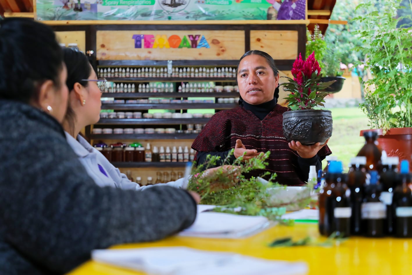 La medicina tradicional es un conocimiento que pasa entre generaciones para aprender propiedades de las plantas curativas.