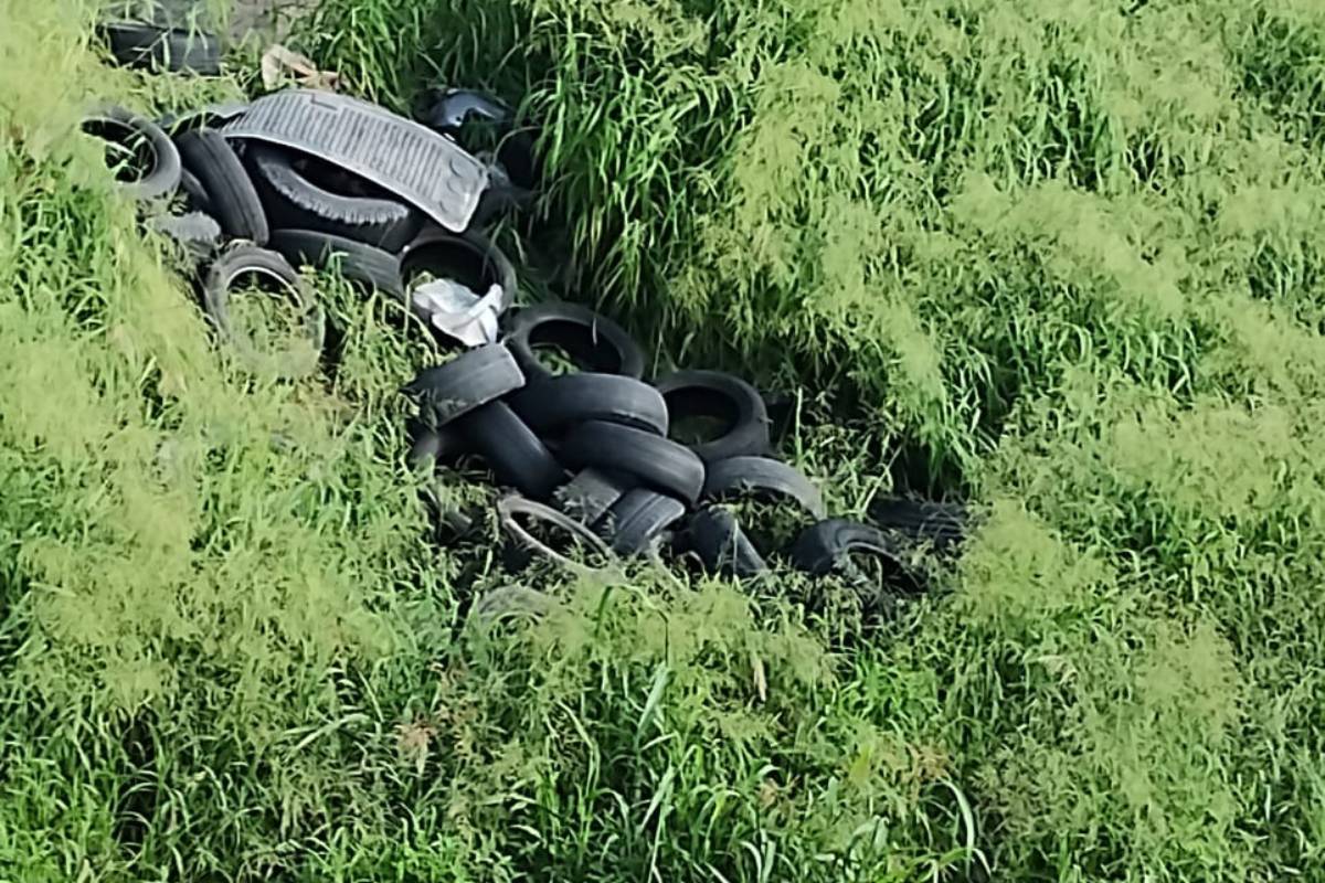 Tirar llantas y residuos en terrenos baldíos traerá consecuencias a quien sea sorprendido.