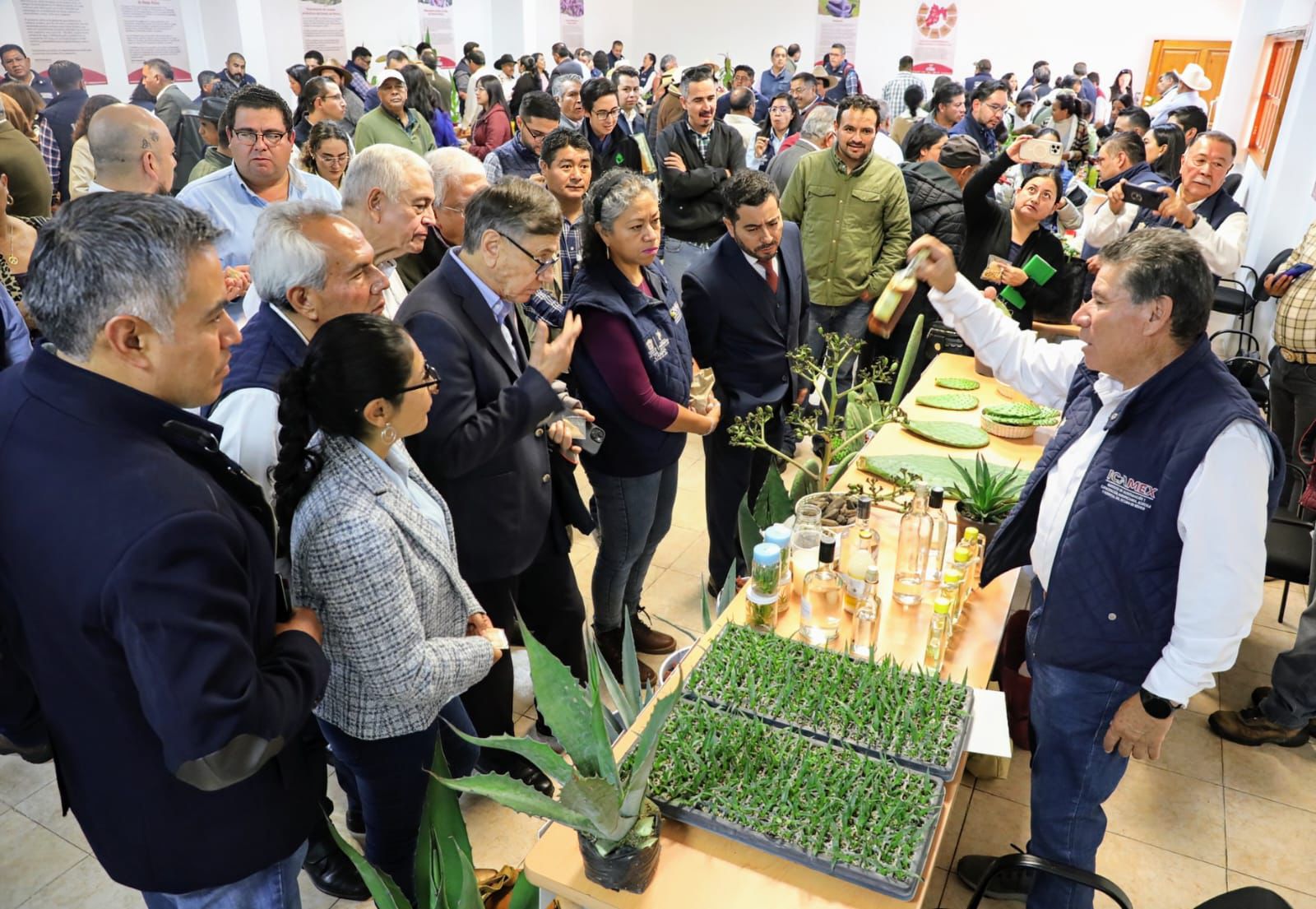 Las accesiones de maíz nativo regresan al Estado de México para revitalizar el patrimonio agrícola y fortalecer a los productores. 