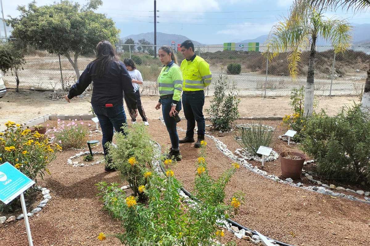 Cemex promueve el apoyo de la vida silvestre y la biodiversidad