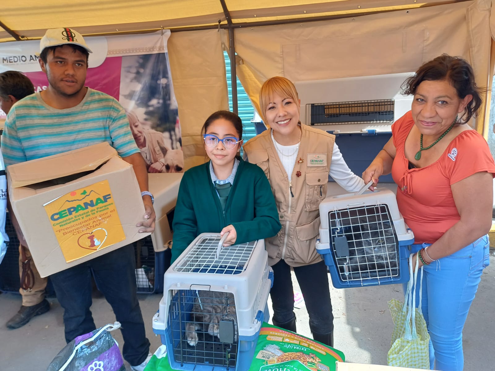 Las brigadas de bienestar animal aseguran el regreso seguro de 135 mascotas.