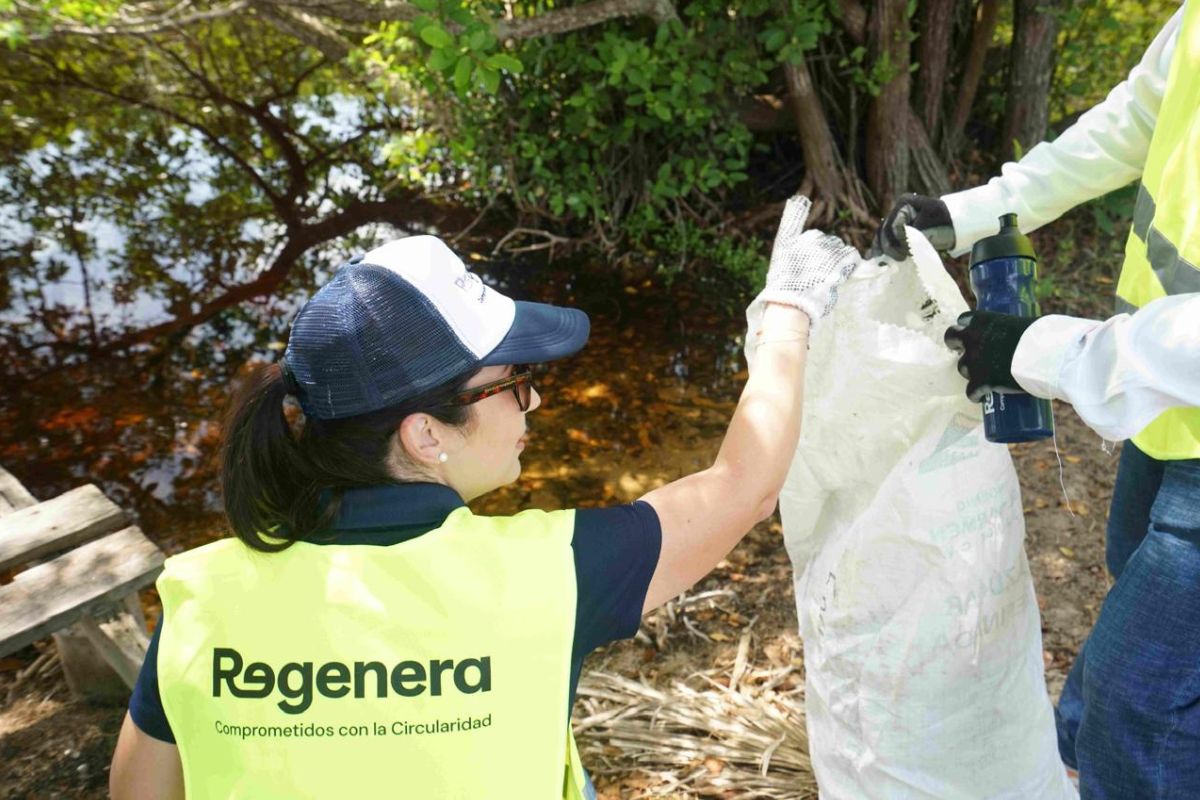 Alianza de Sostenibilidad: Limpieza del Manglar Laguna Cocodrilo en Yucatán