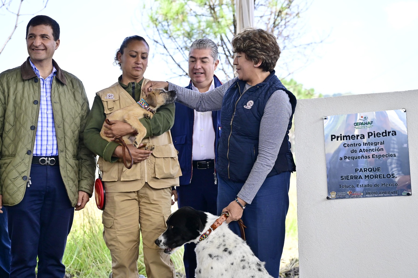 Este centro brindará atención a animales abandonados y maltratados en el 