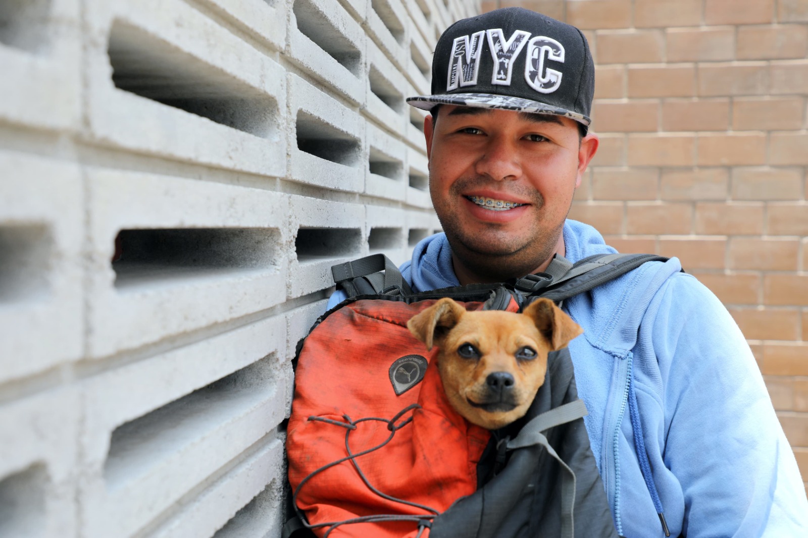 Perros y gatos esterilizados en Ecatepec, uno de los municipios con mayor participación.