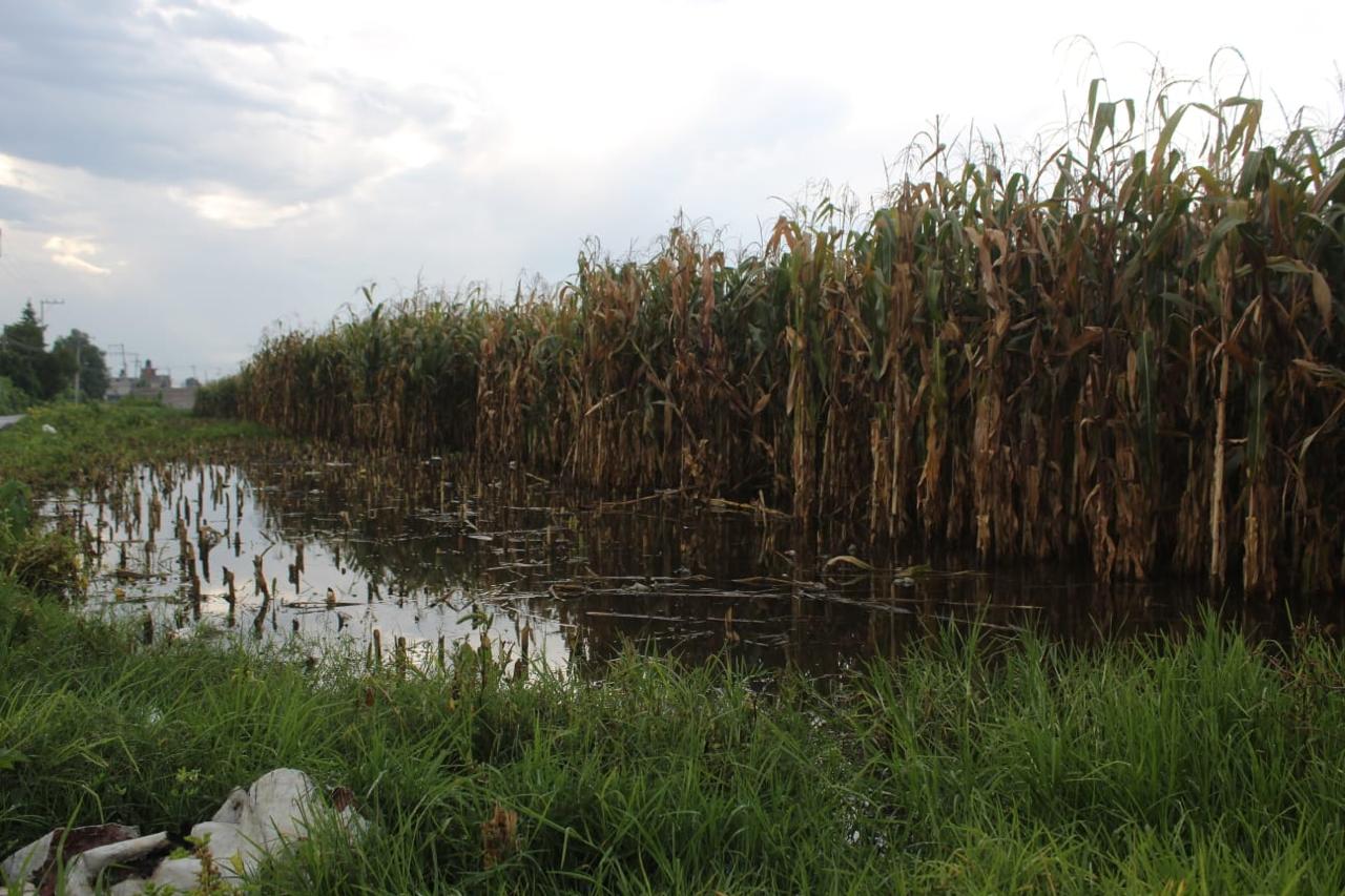 Agricultores de Chalco solicitan desazolve urgente del Río Amecameca para evitar futuras pérdidas