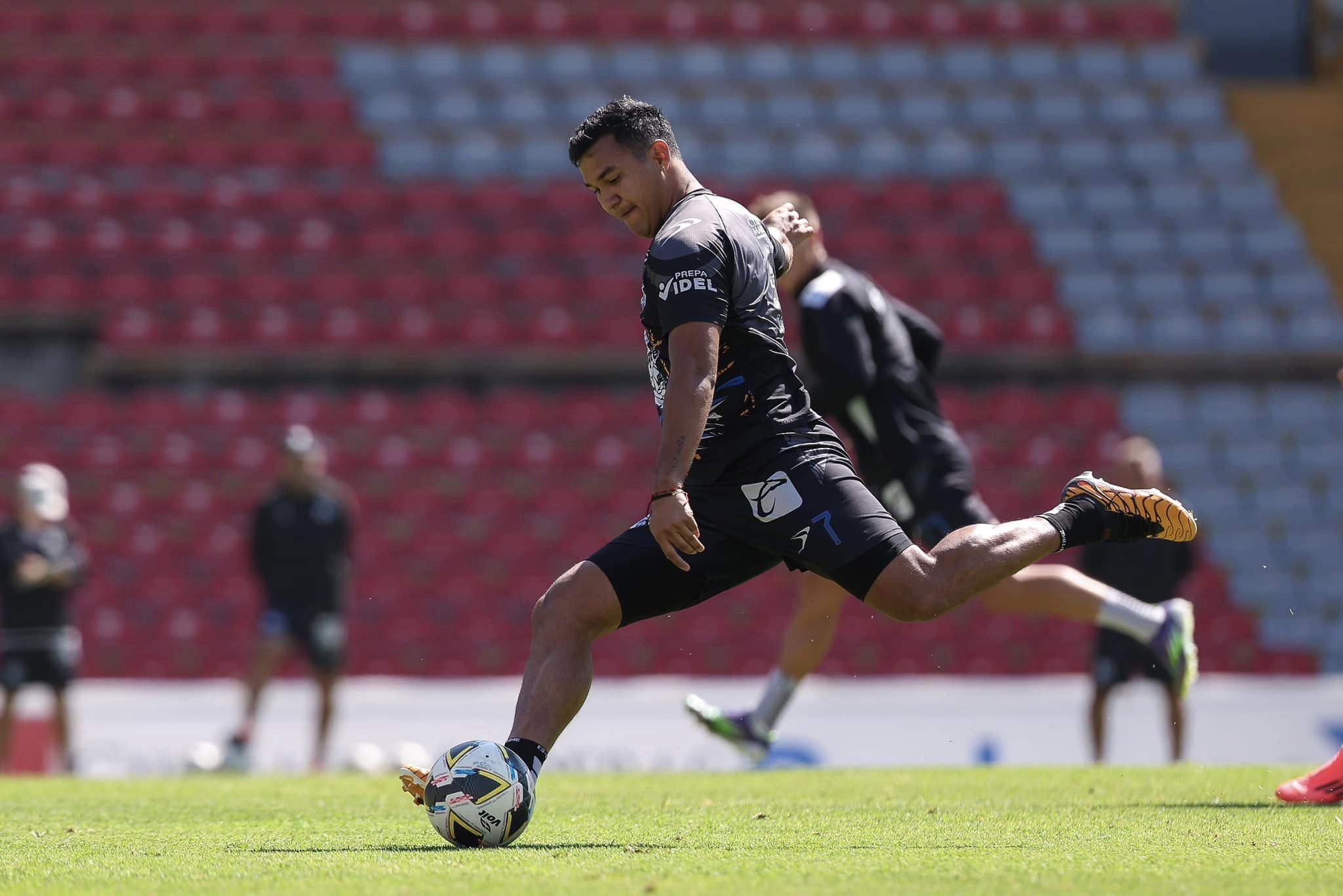 El equipo queretano espera con el apoyo incondicional de su afición en este importante encuentro. Foto: Gallos Blancos.