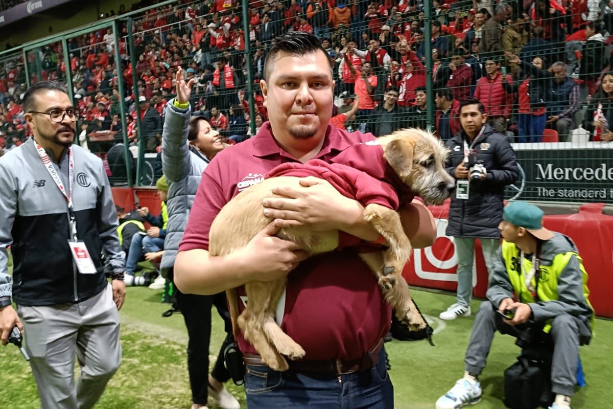 Toluca FC y Cepanaf promueven la adopción de mascotas en el Estadio Nemesio Diez.