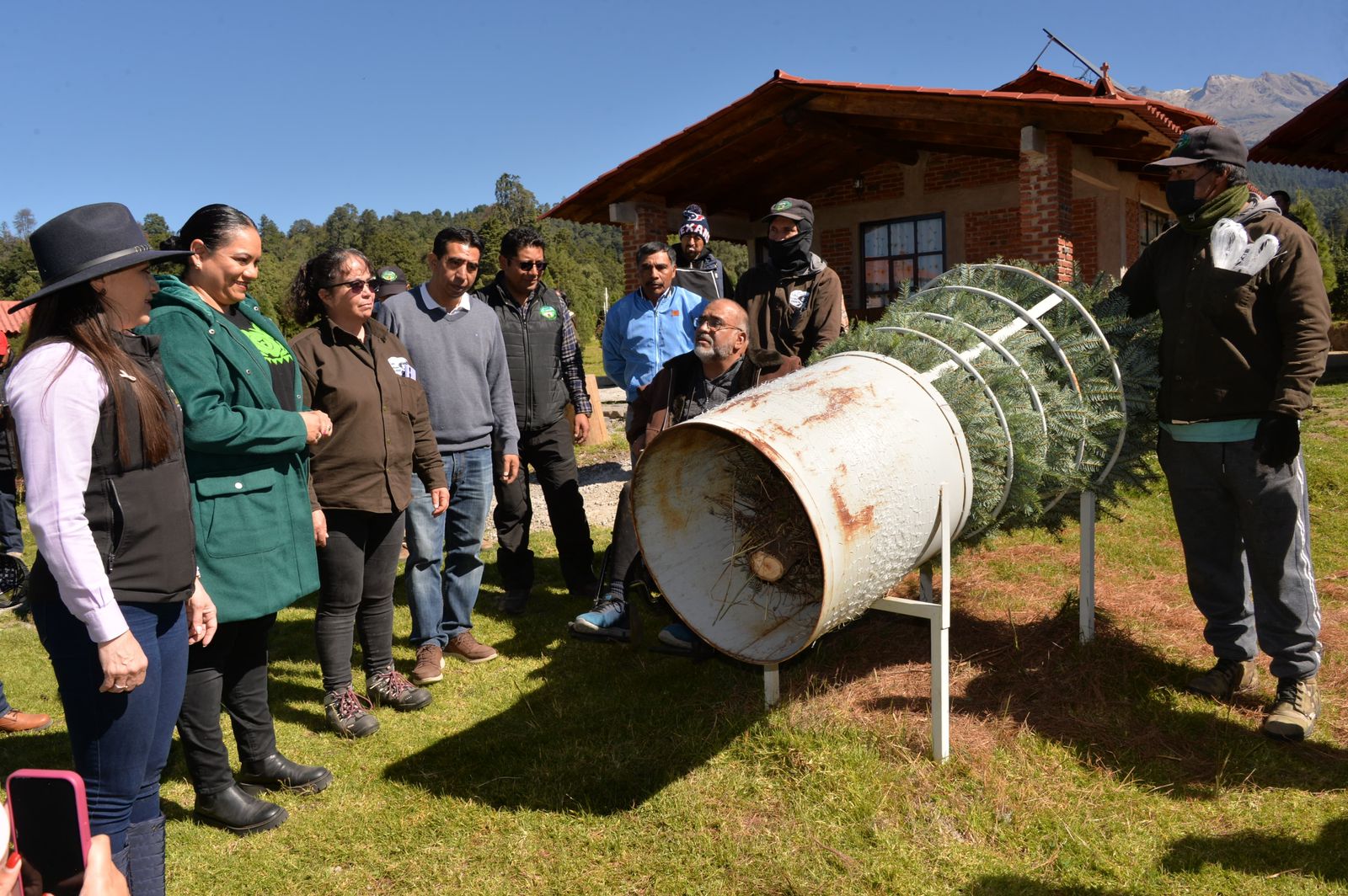 Cada pino vendido en Amecameca contribuye al medio ambiente ya la generación de composta para un planeta más verde.