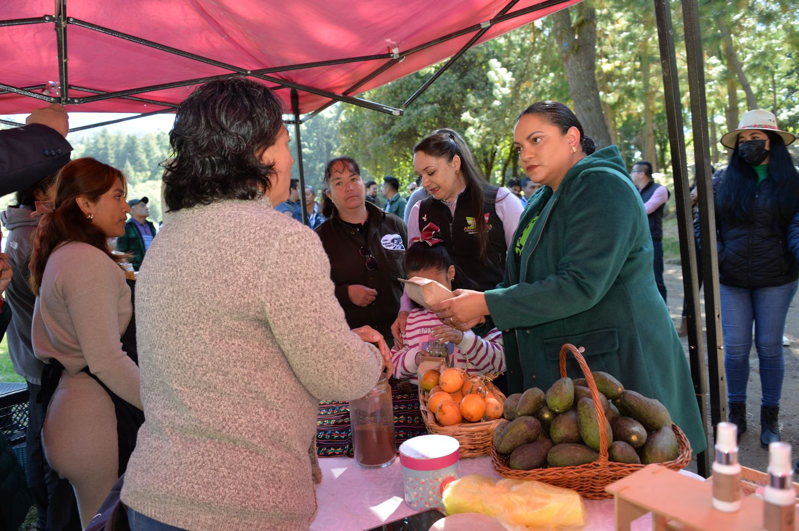 Mujeres de la región elaboran productos sustentables como ocoxal y escobilla, fortaleciendo la economía comunitaria.
