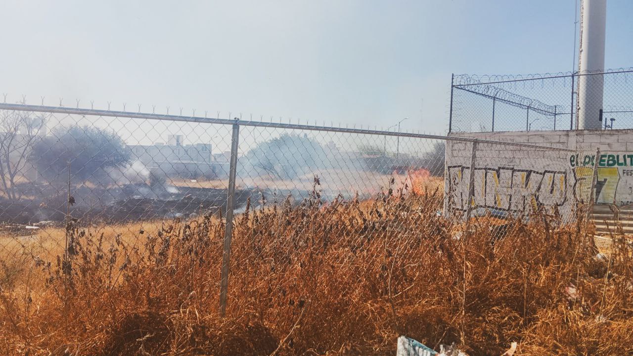 Trabajo coordinado evita la propagación de un incendio en la colonia San Pedrito. Foto: PC Querétaro.