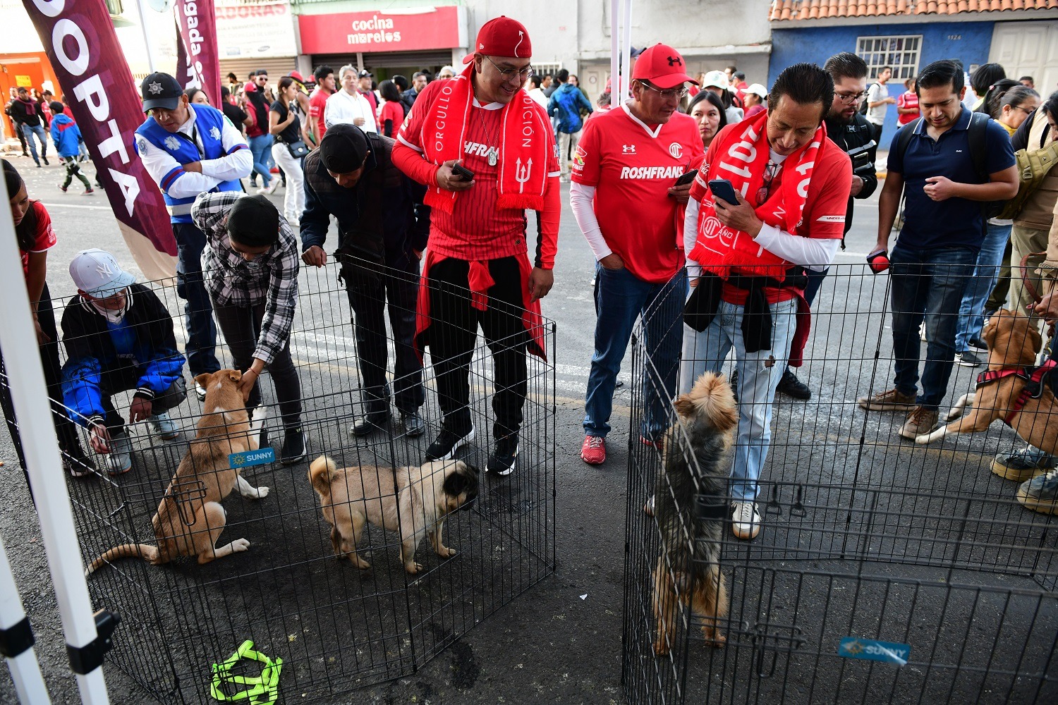 El Deportivo Toluca FC participa en la campaña “La Mejor Jugada es Adoptar” en el estadio Nemesio Diez.