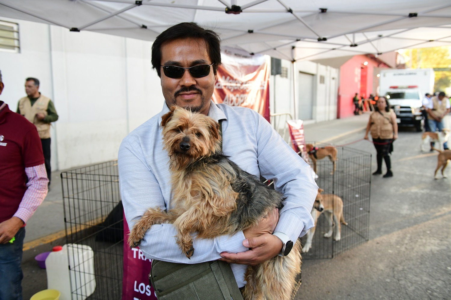 Un lomito disfruta de su nuevo hogar tras ser adoptado por una familia responsable.
