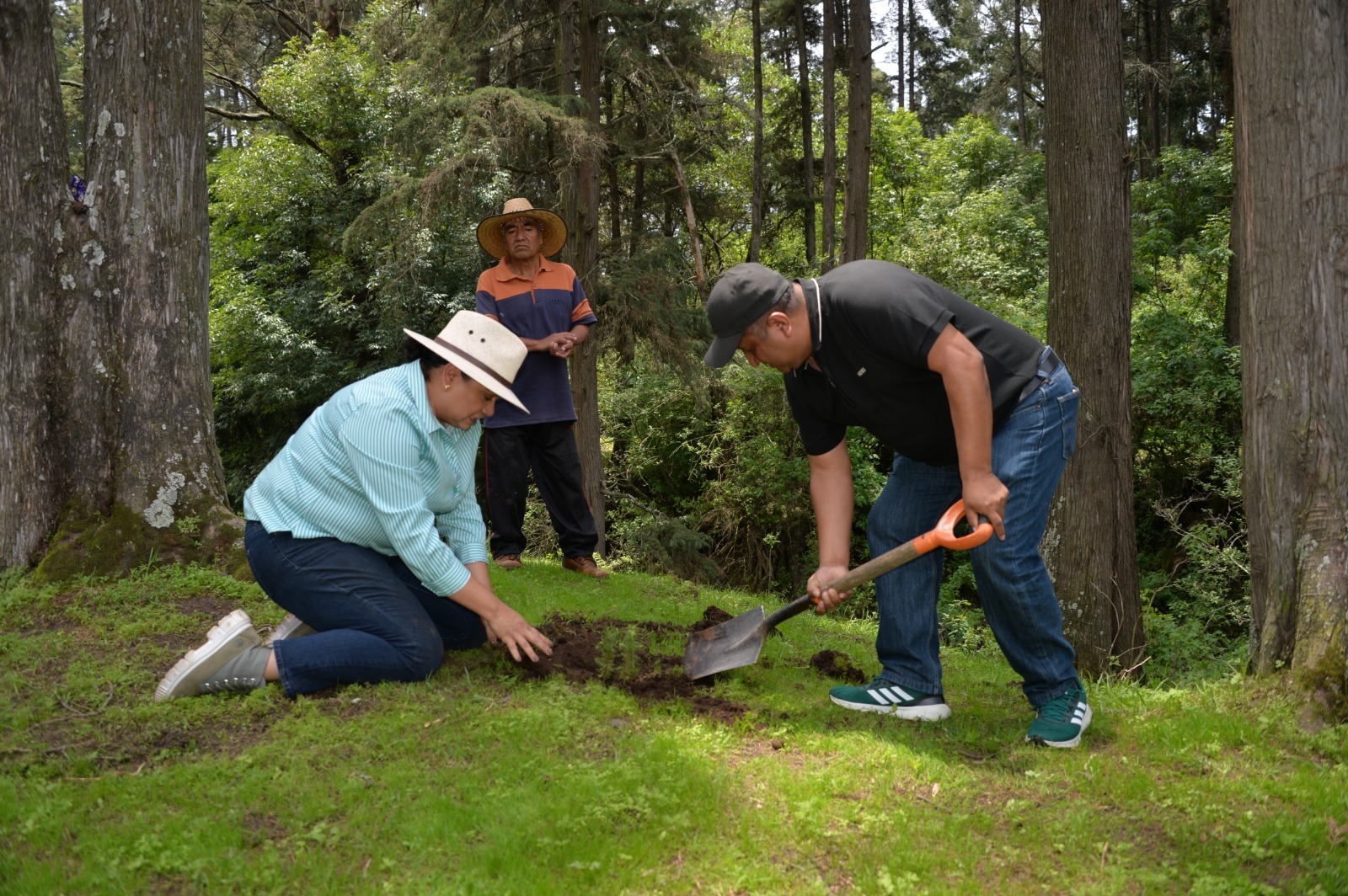 Voluntarios plantando árboles en Áreas Naturales Protegidas del Edomex.