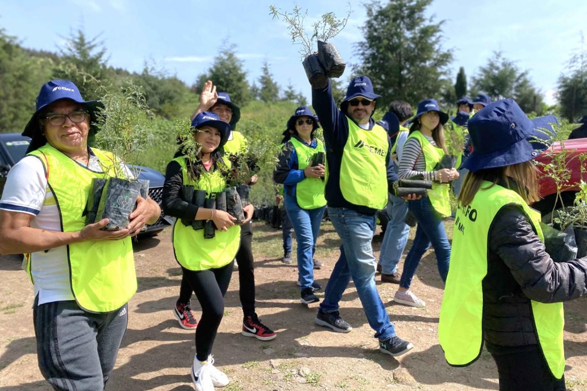 Promueve Cemex campaña de reforestación 'Día Verde 2024'