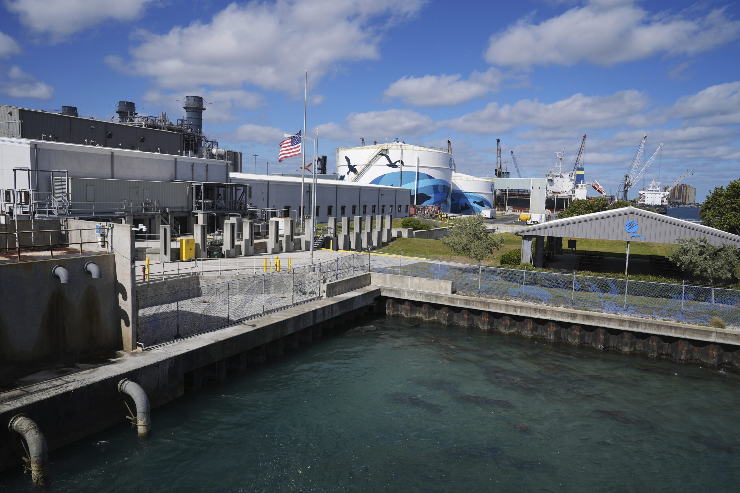 Planta eléctrica en Riviera Beach, refugio temporal para manatíes durante el invierno. Foto: AP.