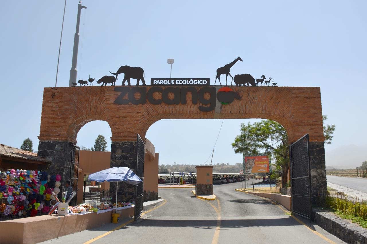 Zacango es hogar de más de 880 animales rescatados, donde cada especie recibe atención personalizada.