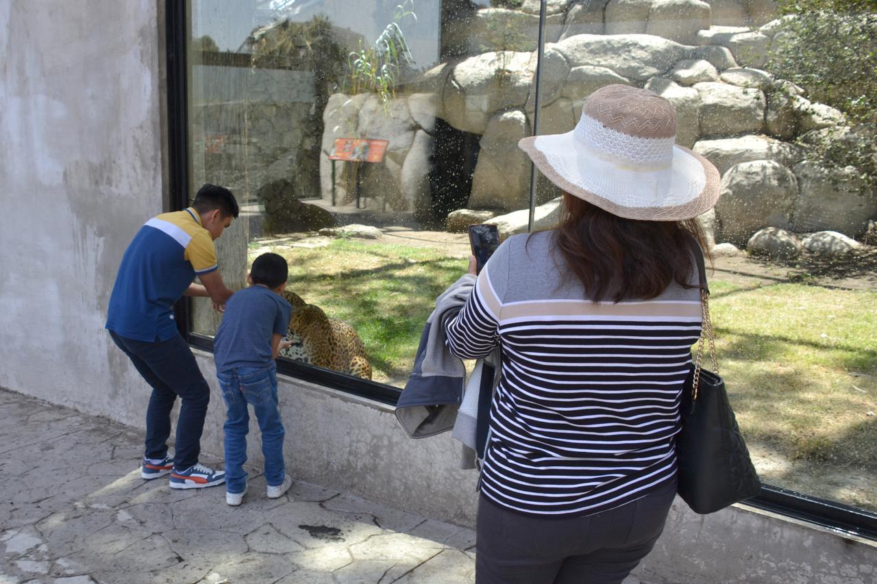 Este parque es un referente en el cuidado animal y la biodiversidad.