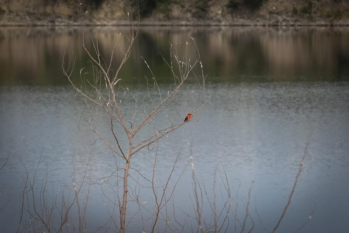 Un oasis de biodiversidad en el corazón de la huasteca potosina