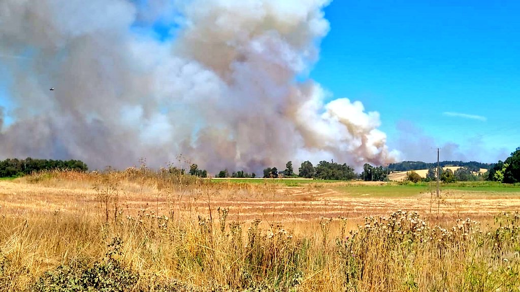 Evacuación de residentes en zonas de alto riesgo debido a los incendios forestales.