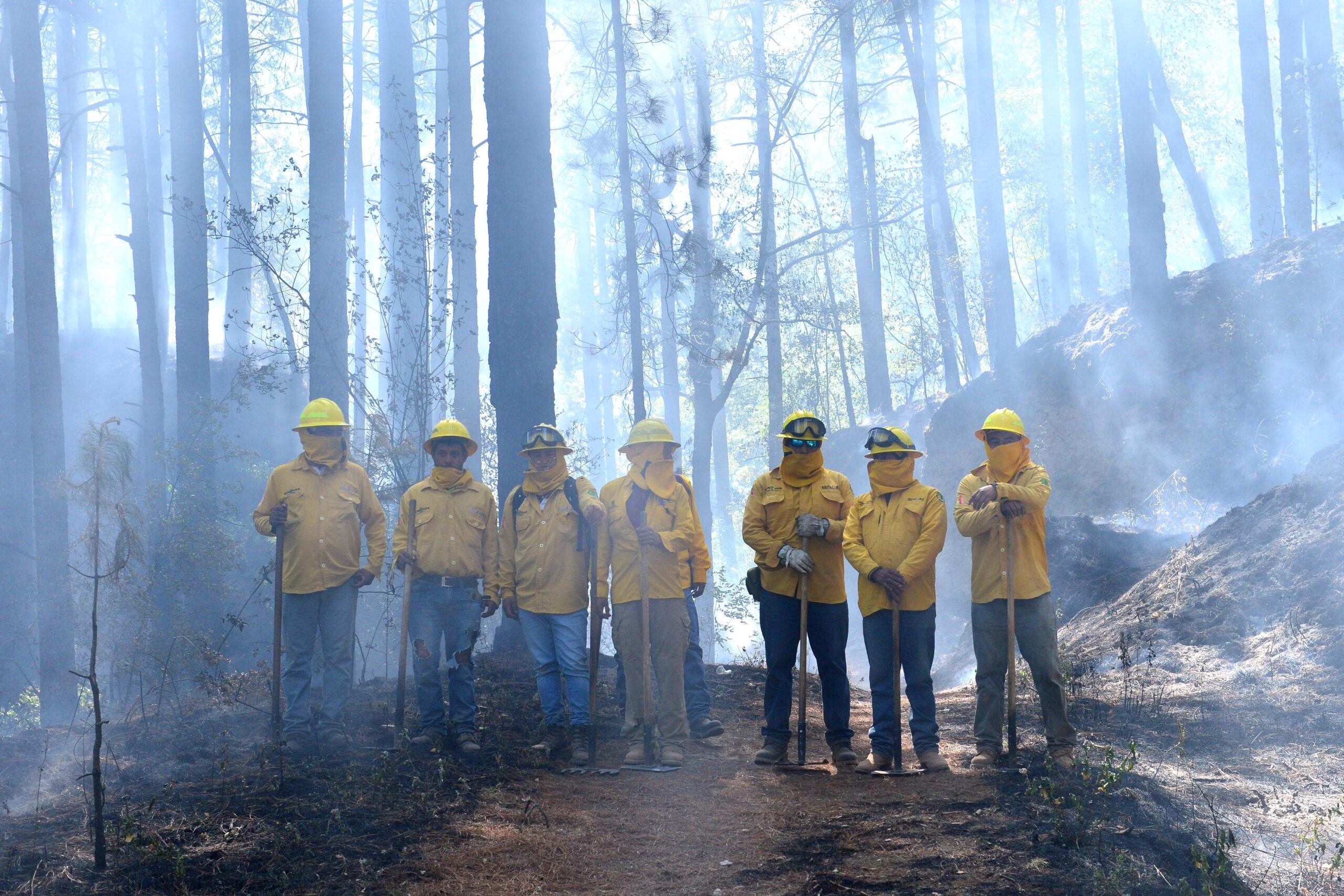 Equipos especializados patrullan las zonas forestales para prevenir y mitigar incendios.
