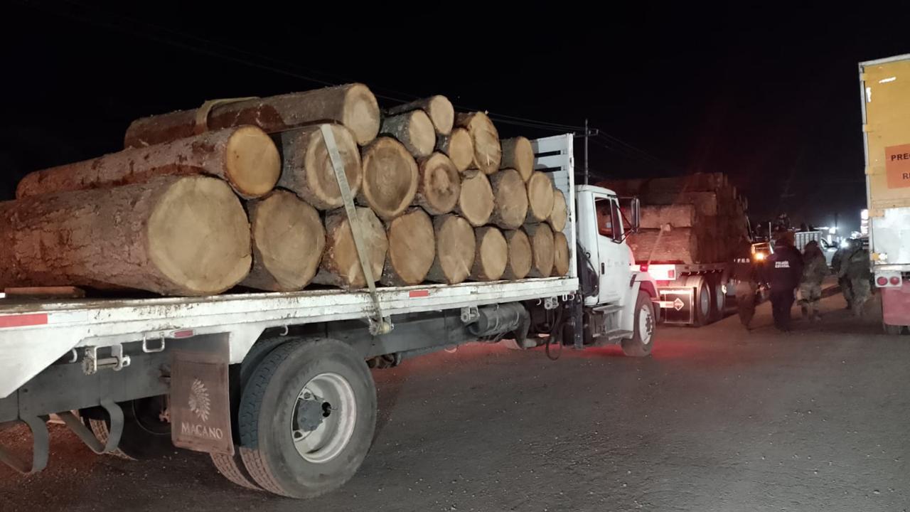 La Profepa traslada madera incautada a depósitos oficiales.