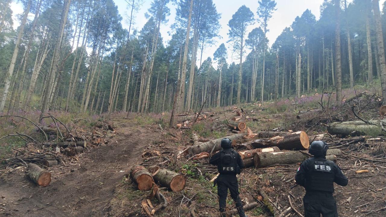 Elementos de seguridad y protección ambiental supervisan los operativos.