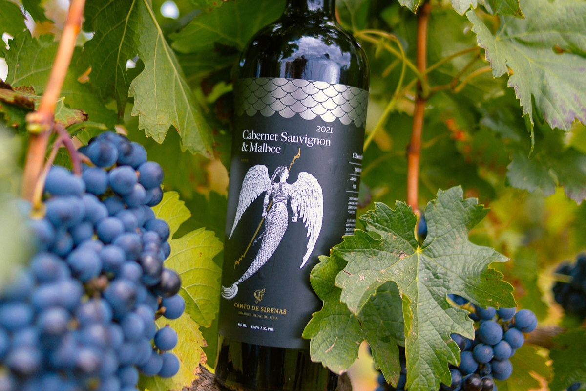 Viñedo Los Arcángeles, vino y mitología en una copa