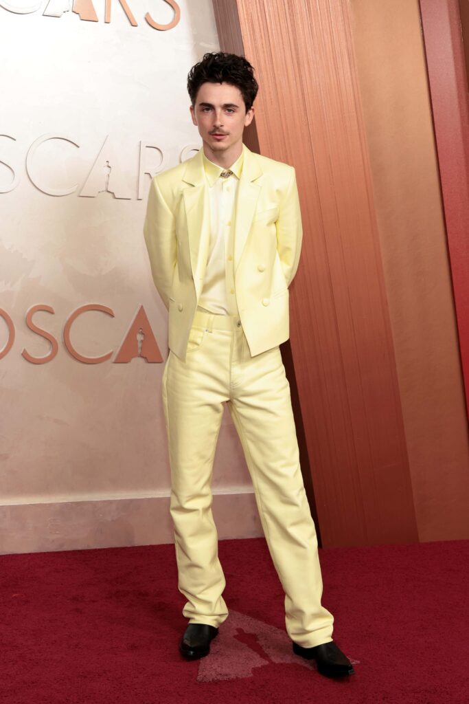 Alfombra Roja Oscar Timothée Chalamet