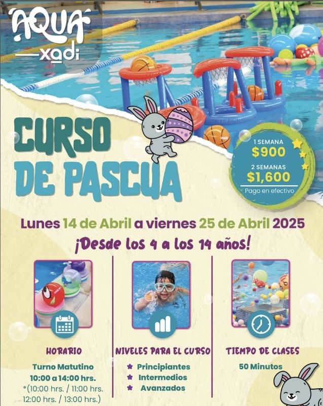 Dónde puedo aprender a nadar en Querétaro 3