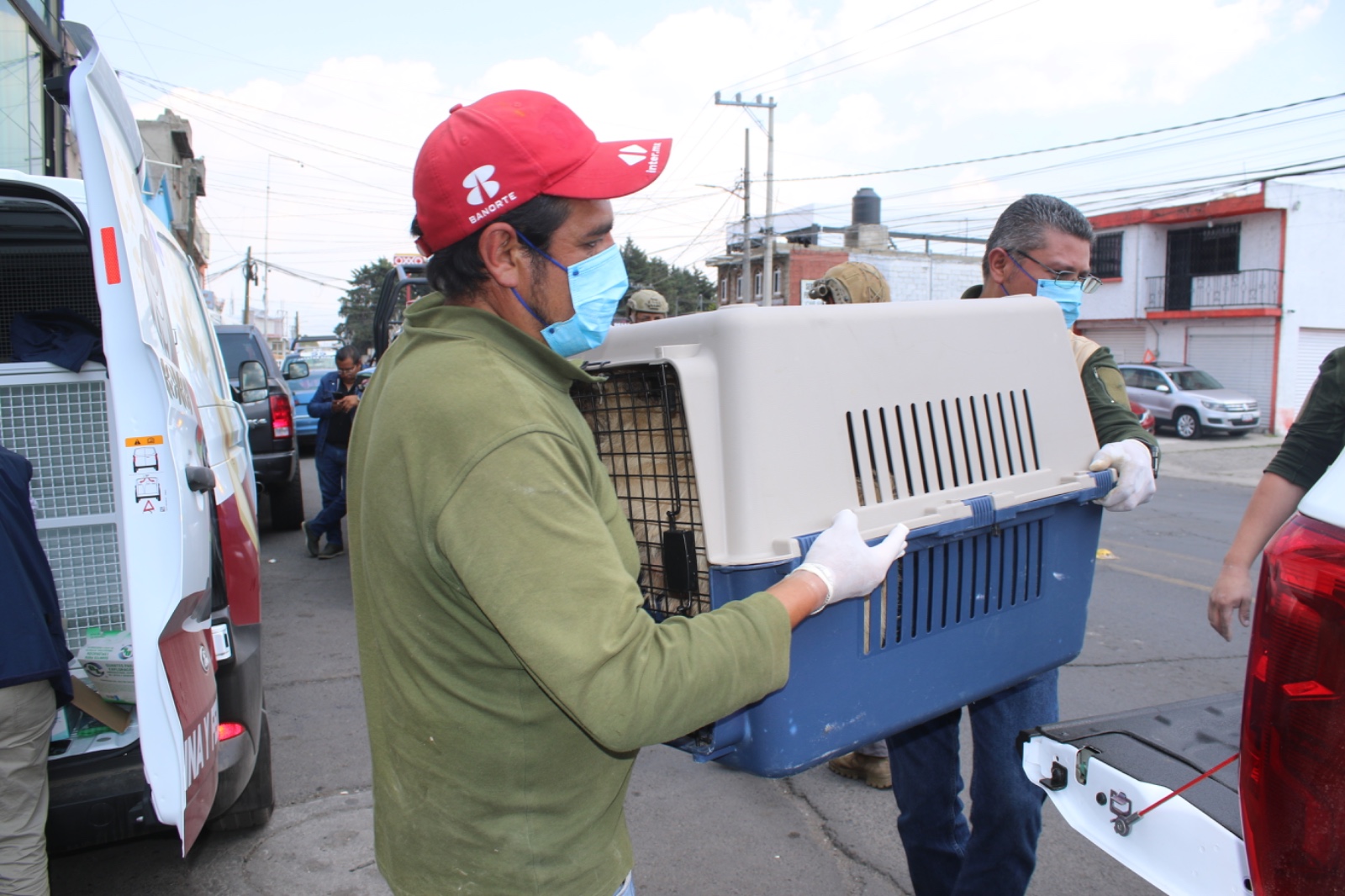 Rescate de los 108 perros de Mexicaltzingo.