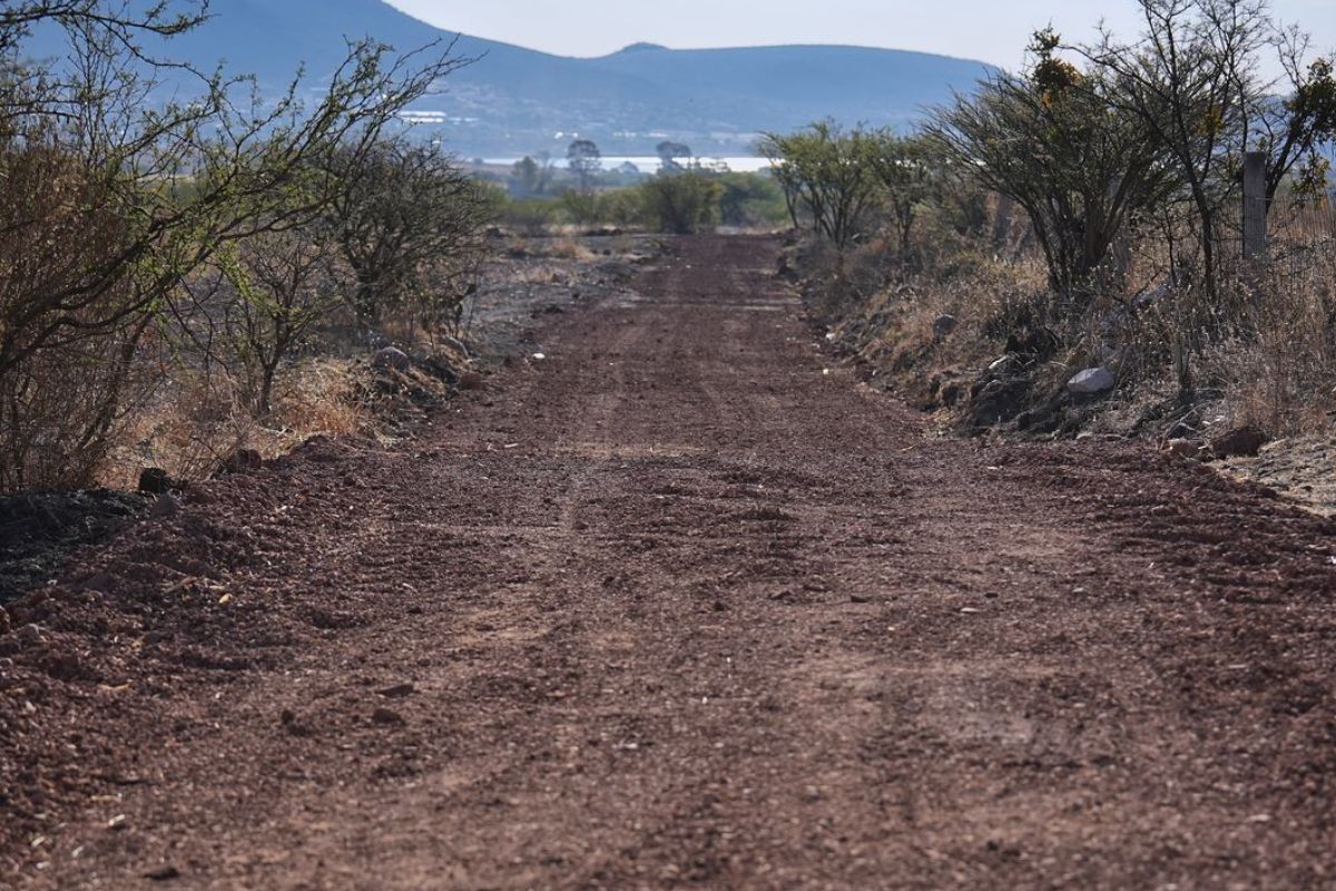 Felifer Macías entrega rehabilitación de camino de saca en ejido Pie de Gallo