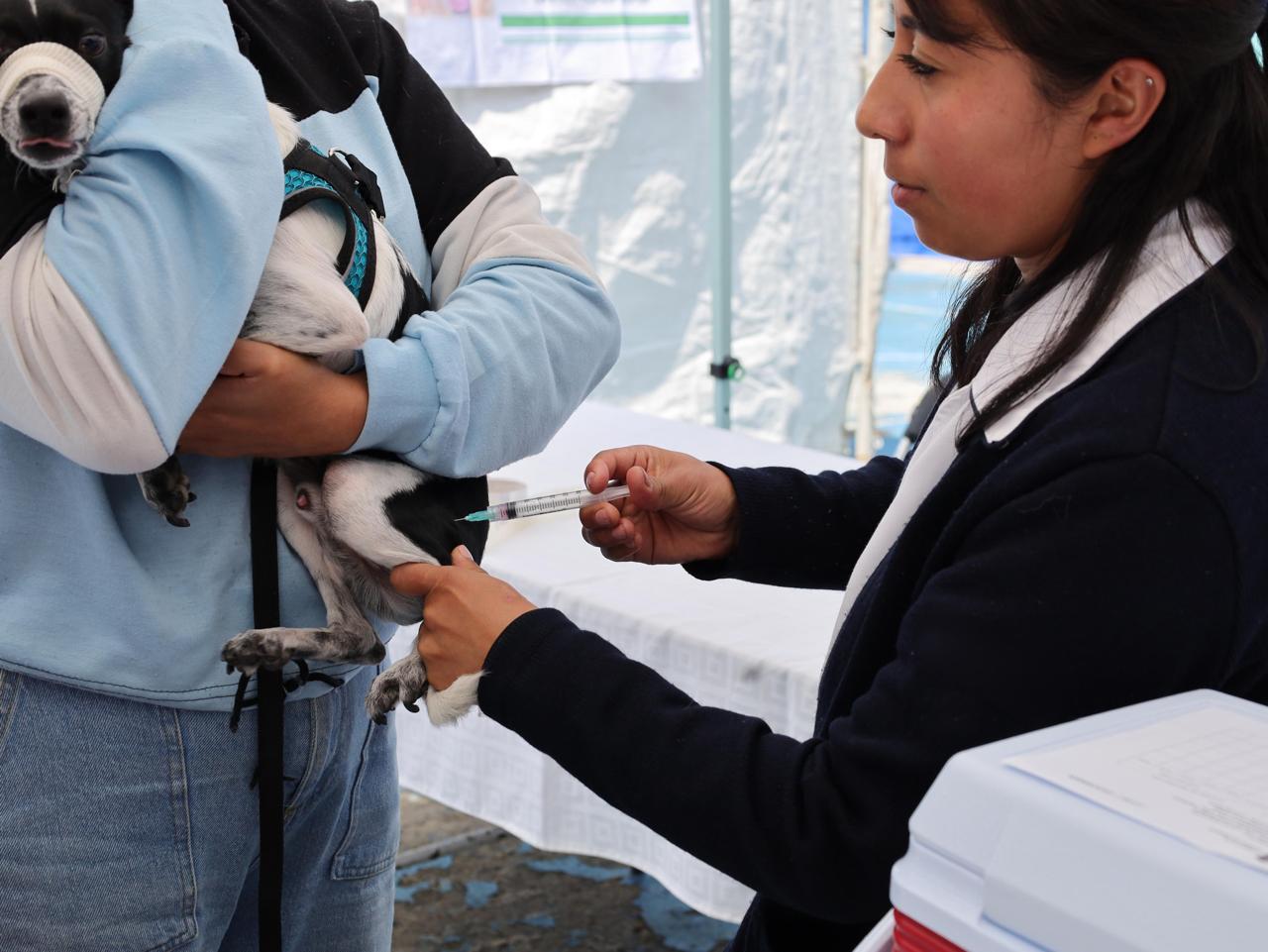 La Secretaría de Salud estatal encabeza esta iniciativa, que contará con la participación de 772 brigadistas
