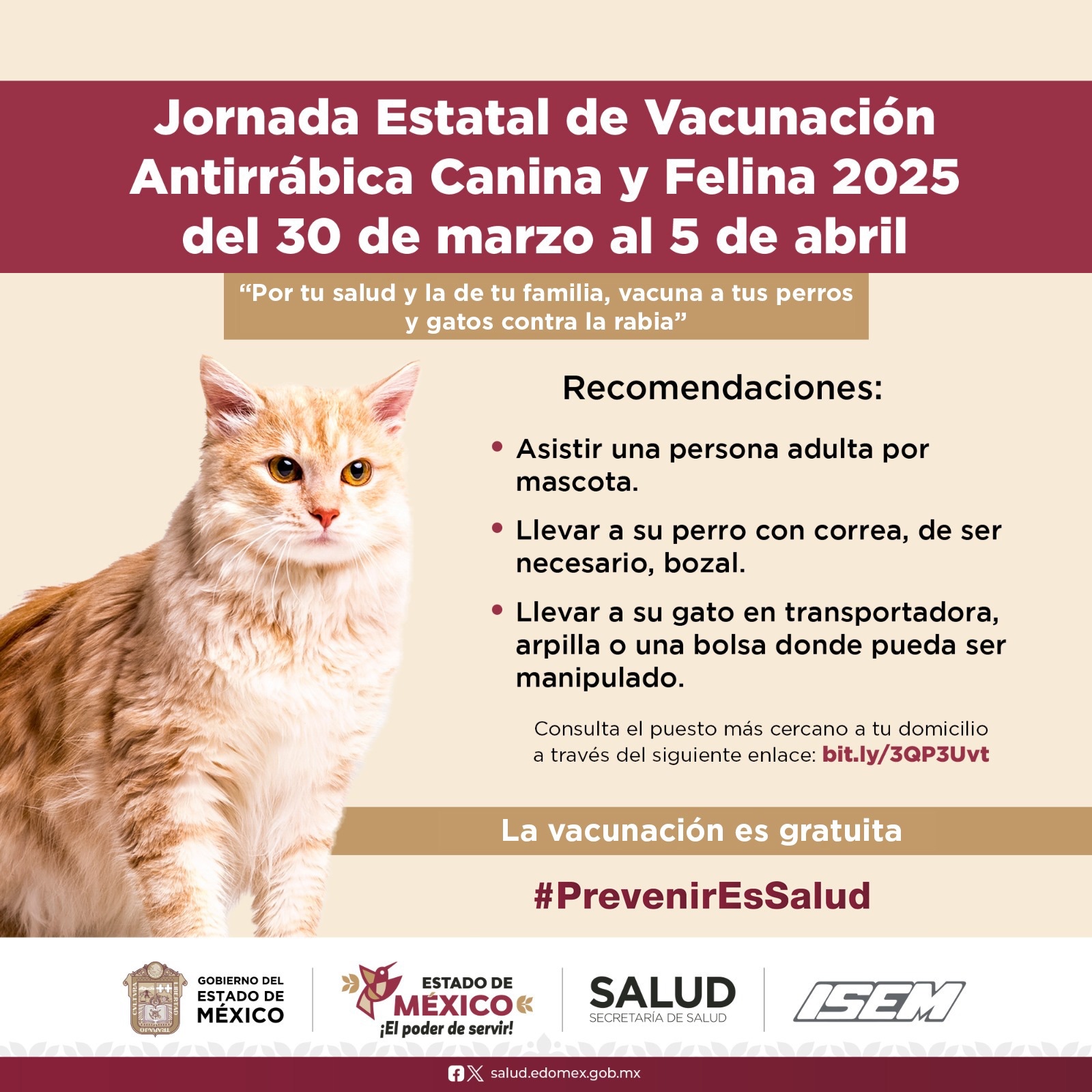 Las vacunas son totalmente gratuitas y forman parte de una tenencia responsable de mascotas como son perro y gatos.