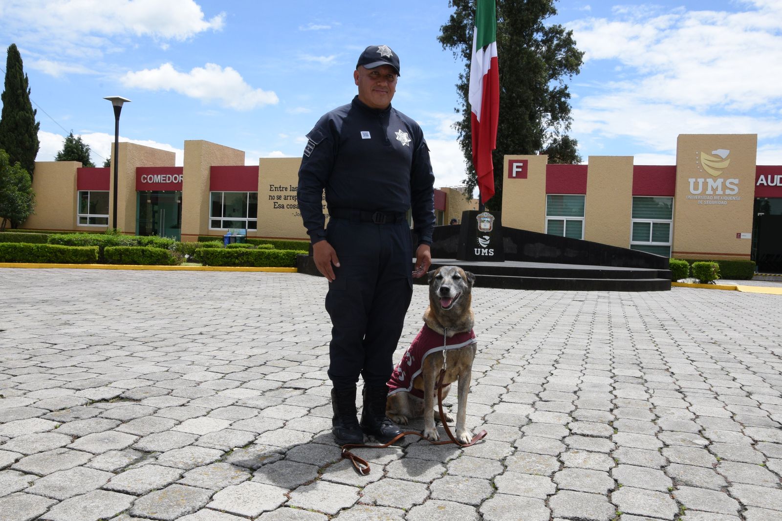 Estos perros dedicaron su vida a la detección de narcóticos y explosivos.