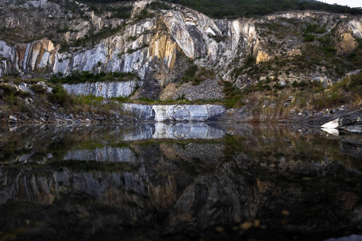Cemex cuida la naturaleza y la inmortaliza en fotos