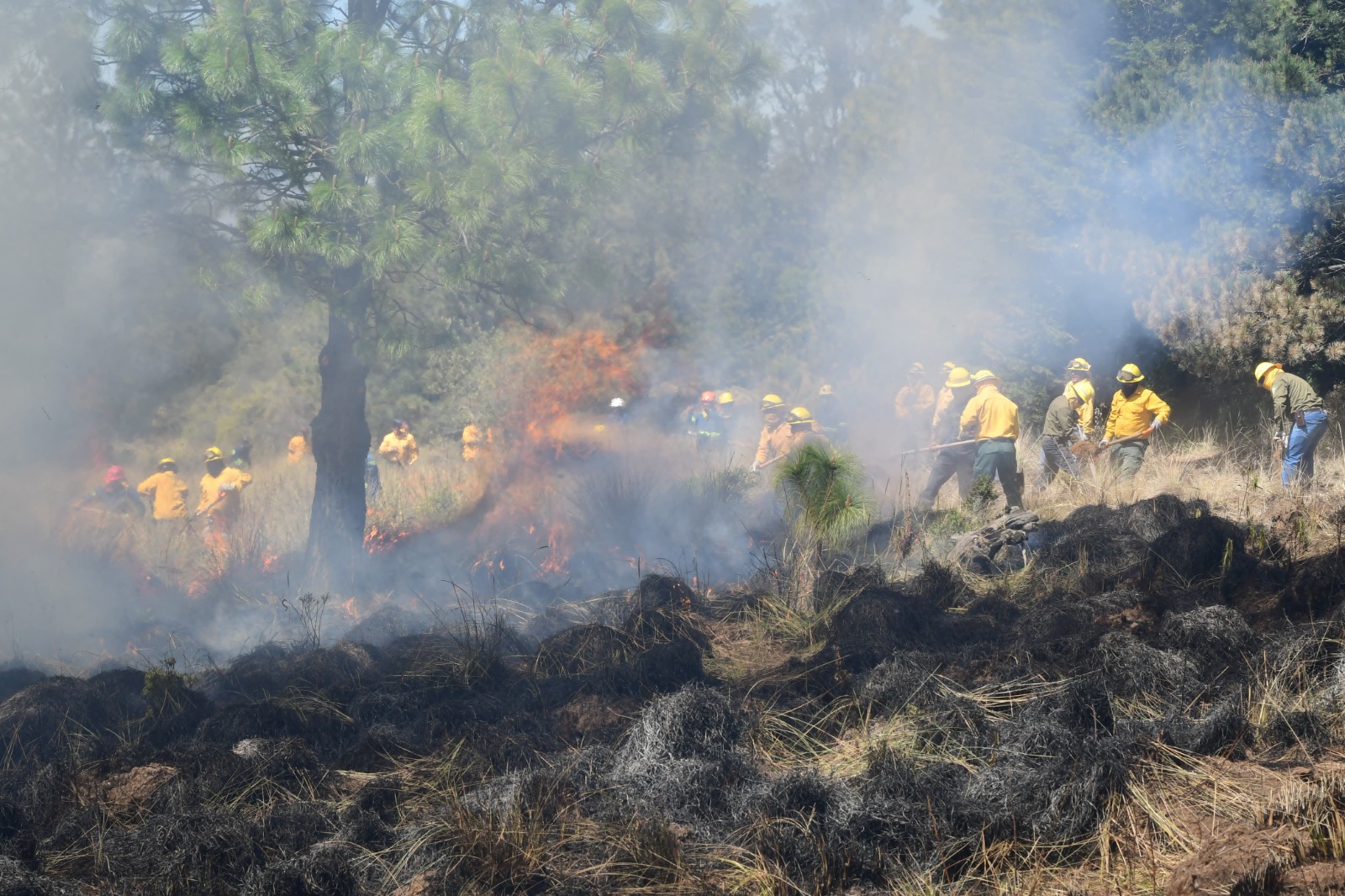 Las sanciones por provocar incendios pueden alcanzar hasta 10 años de prisión.