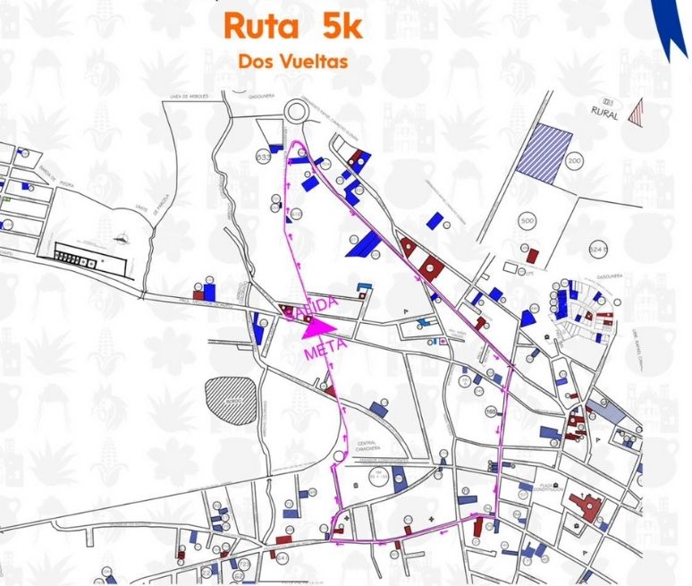 Feria Amealco 5k