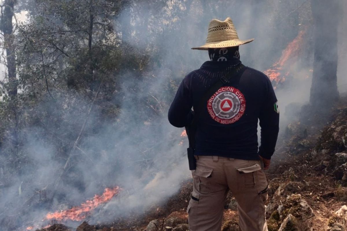 Incendio forestal en Xilitla puede alcanzar a Landa de Matamoros Grupo Ecológico Sierra Gorda